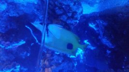 20150316_002100.jpg