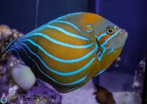 IMG_7388.jpg