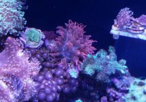 0801141501.jpg