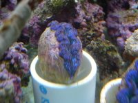 DSCN3040.jpg