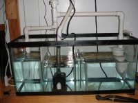 Sump3.jpg