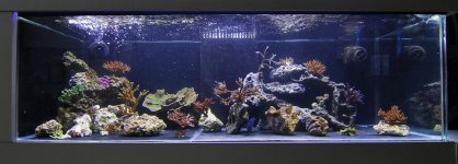 new FTS.jpg new FTS.jpg