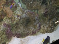 IMG_0014.jpg