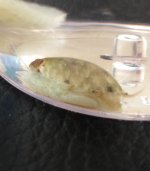 IMG_4922.jpeg