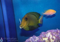 IMG_7529.jpg