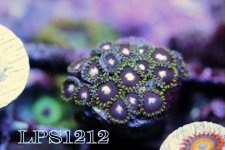 IMG_8153.JPG