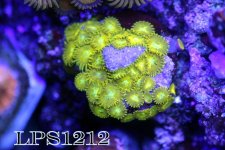 IMG_7022.JPG