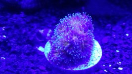 20140504_231731.jpg