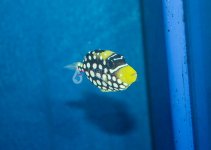 IMG_5585.jpg