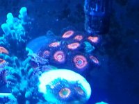 20141008_074647.jpg