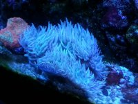 20140925_103557.jpg