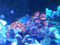 20140925_103442.jpg