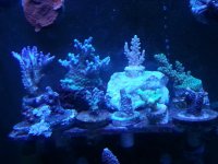 20140925_103458.jpg