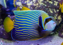 IMG_7764.jpg