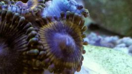 20150720_222118.jpg