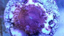 20140627_100231.jpg