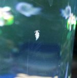 20141124_163525-1.jpg