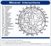 minerals2.jpg