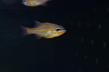 DSC_0030.jpg