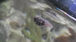 20150228_113455.jpg