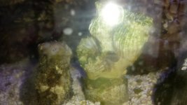20150117_201813.jpg