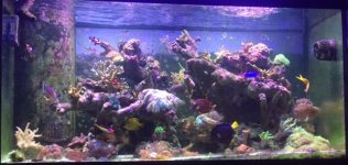 Reef Tank.jpg Reef Tank.jpg