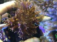 IMG_7861.jpg