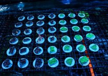 15812_953857101305083_4220690478052454154_n.jpg