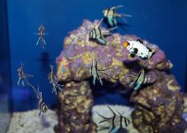 IMG_7696.jpg