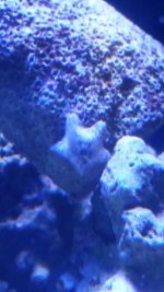 20150610_173355.jpg
