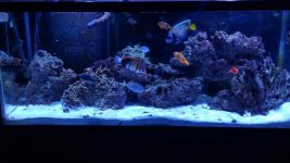 20160126_104338.jpg