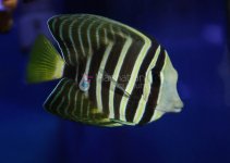 IMG_6838.jpg