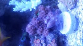 20160128_171951.jpg