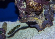 IMG_7810.jpg