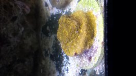 20151012_145253.jpg