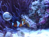 DSC00724.JPG