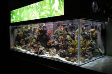 fts1.jpg fts1.jpg