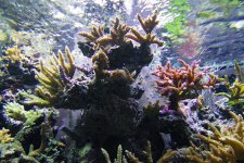 fts3.jpg fts3.jpg
