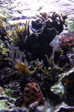 fts4.jpg fts4.jpg