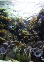 fts5.jpg fts5.jpg