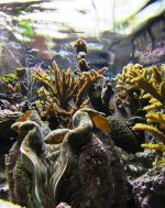 fts6.jpg fts6.jpg