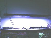 Lights.jpg