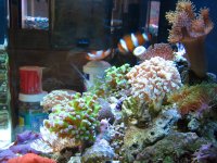 IMG_1978.JPG