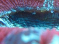 IMG_1131.JPG