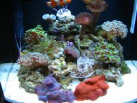 IMG_1979.JPG