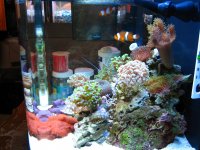 IMG_1982.JPG