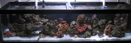 fts.jpg