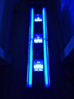 IMG_1189.jpg
