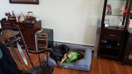 20160327_130129.jpg