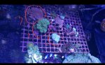 Screenshot_2016-09-01-15-59-10.jpg